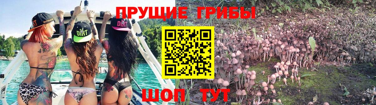 Дивногорск  Псилоцибиновые грибы Magic Shrooms  Вход с VPN 